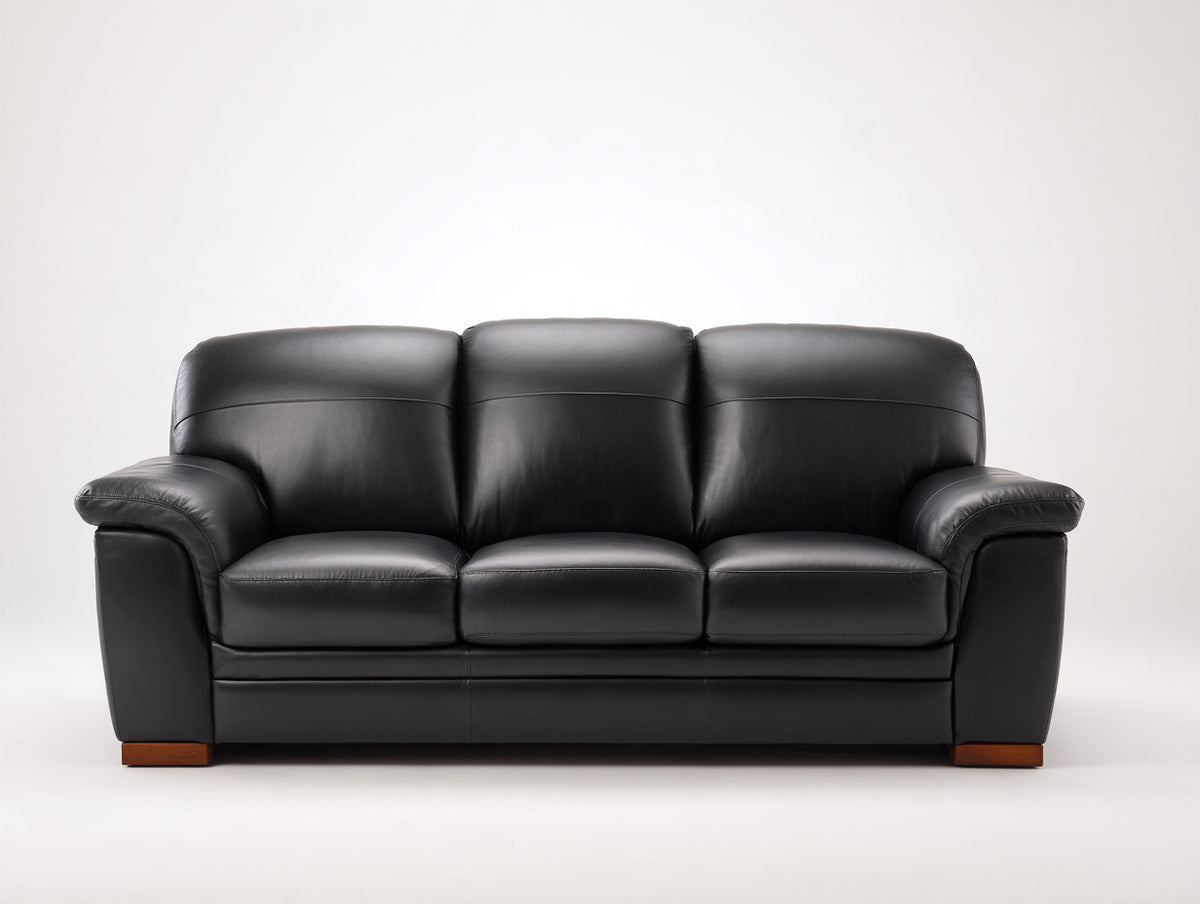 Divano a 3 posti - Pelle - 208 x 91 x 88 cm - Nero - Stile contemporaneo